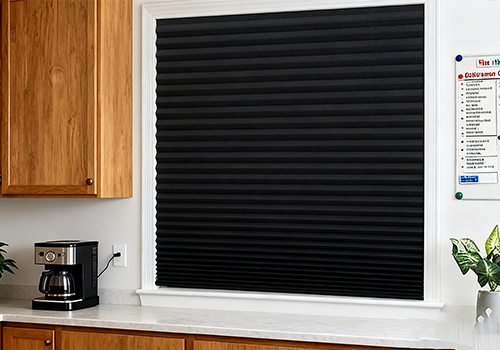 Temporary Paper Shades