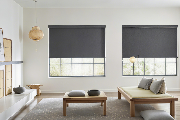Exploring Roller Shade Solutions: A Closer Look at Different Systems in the LOUGE